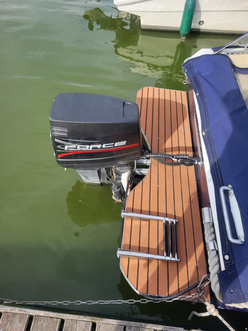 Bayliner Daycruiser
