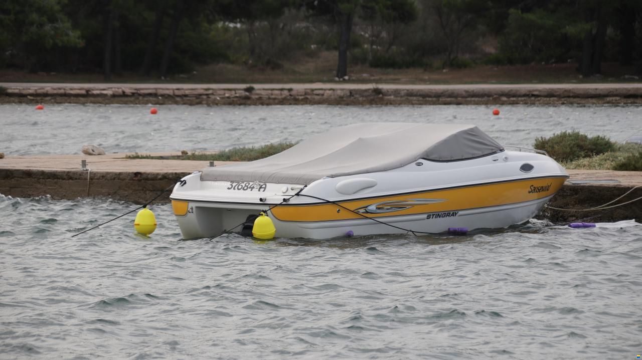 Stingray 195 CX