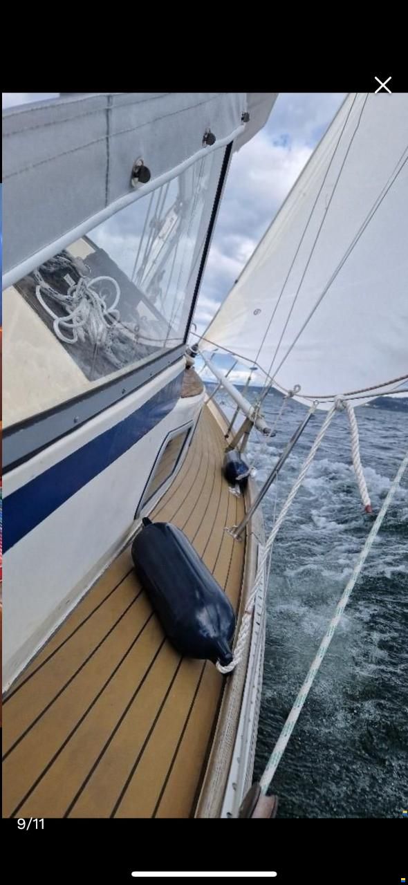 Hallberg-Rassy Monsun 31