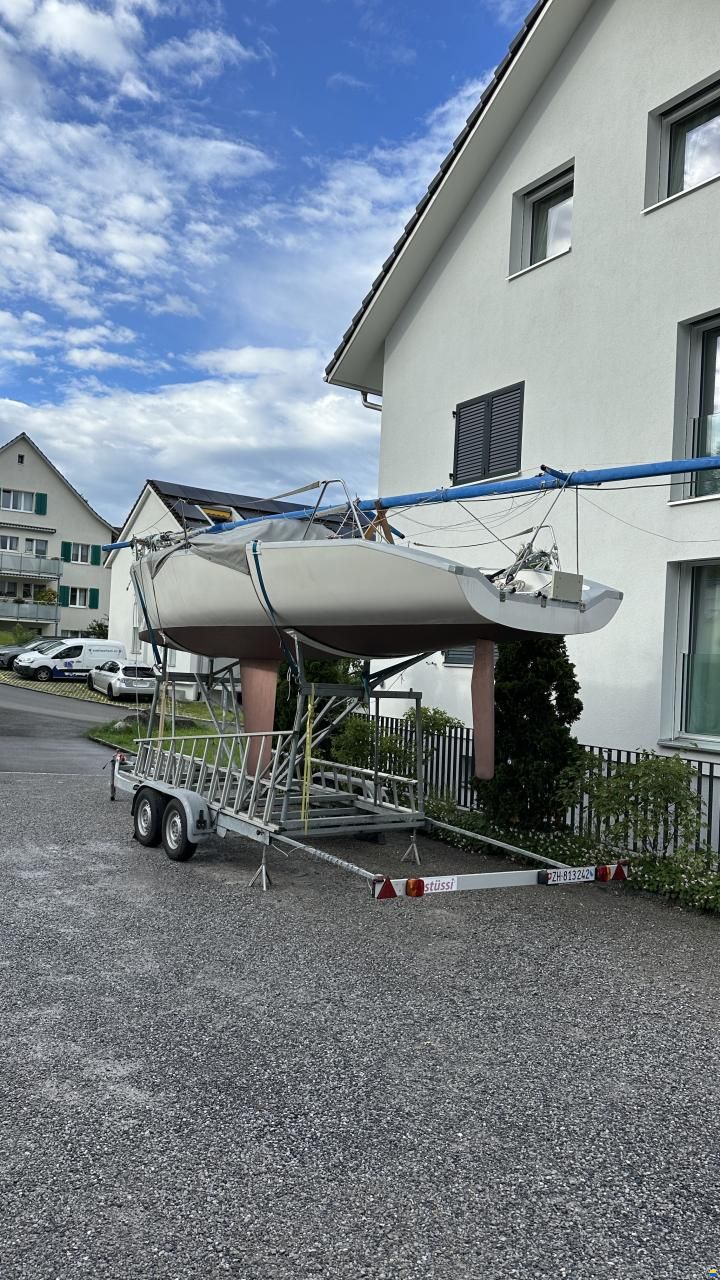 Maxi Dolphin Dolphin 81