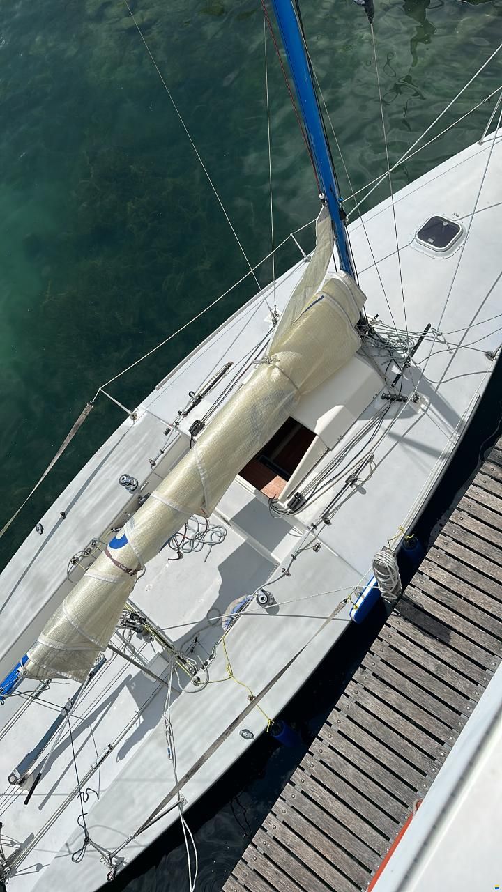 Maxi Dolphin Dolphin 81