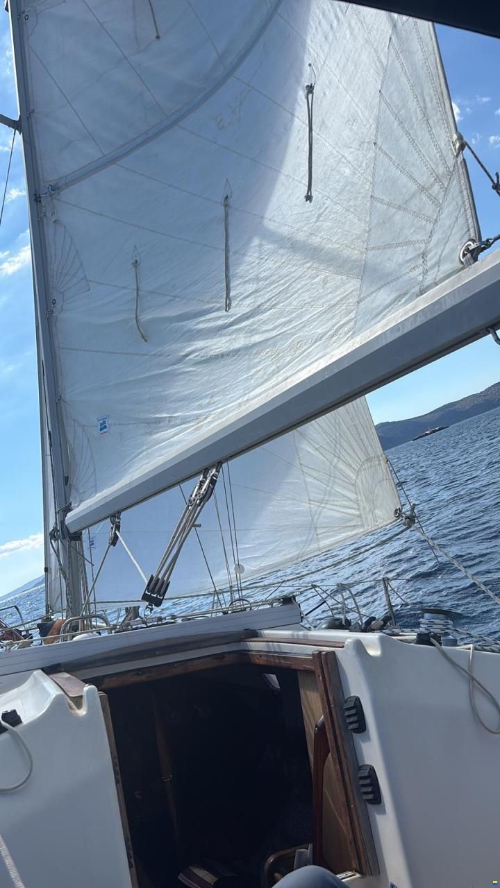 Bavaria 320
