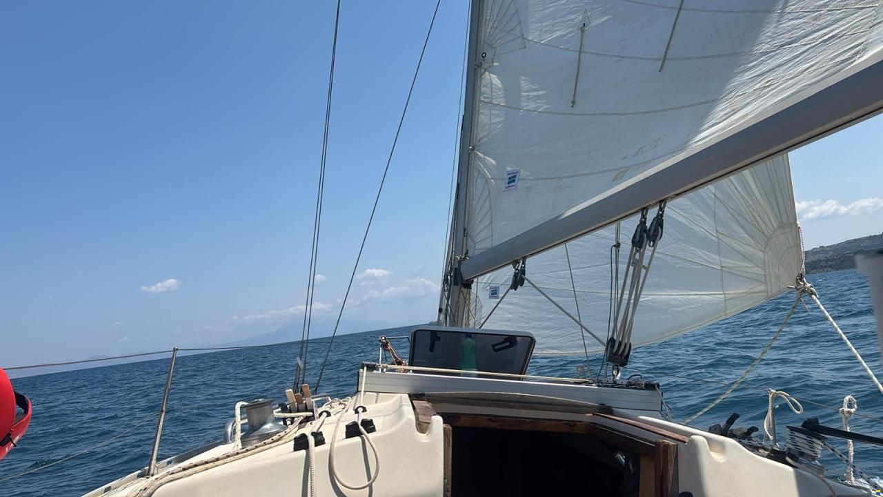Bavaria 320