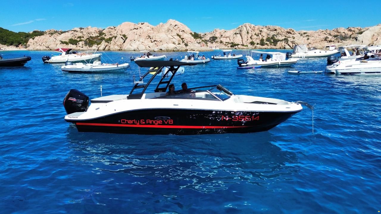 Sea Ray 230 Outboard