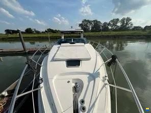Sealine S 38