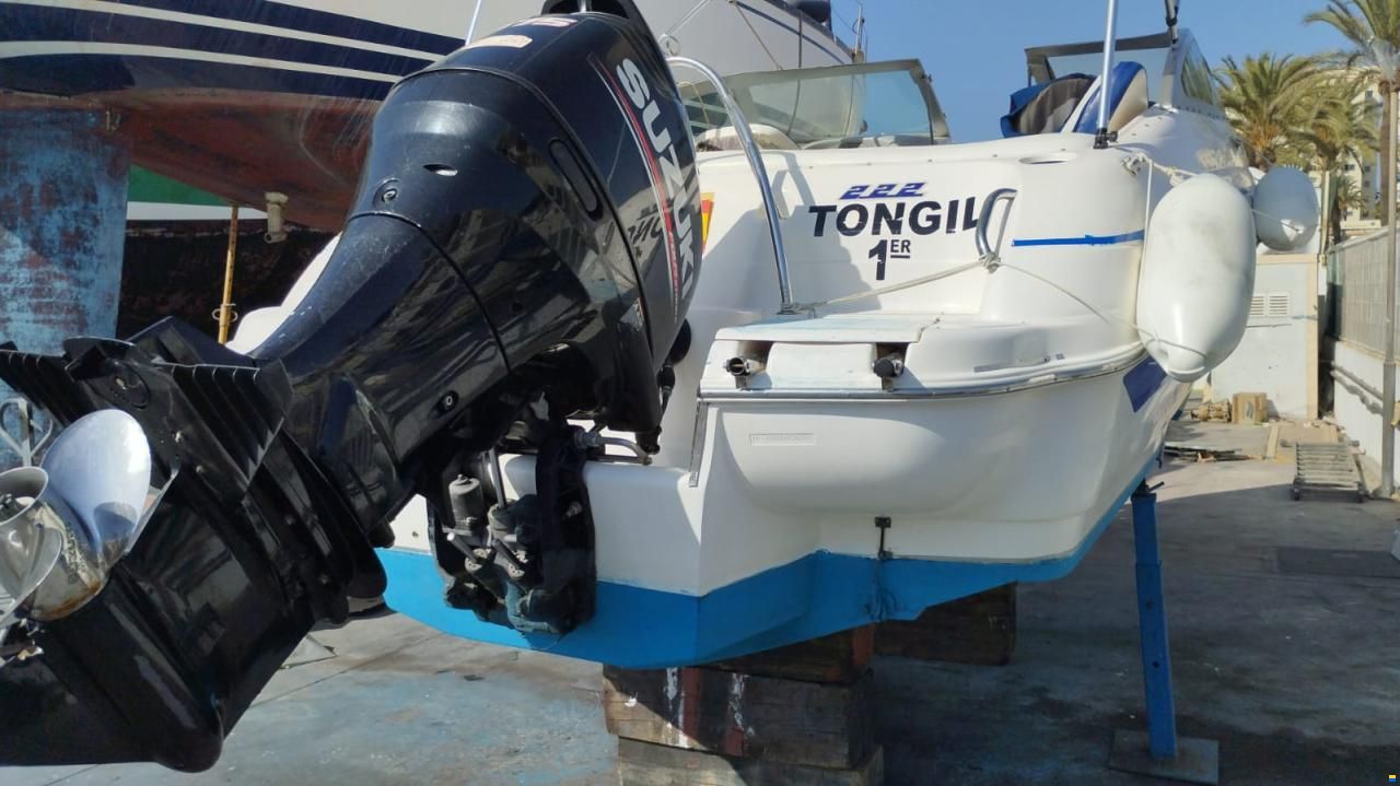 Fibrafort Focker 222