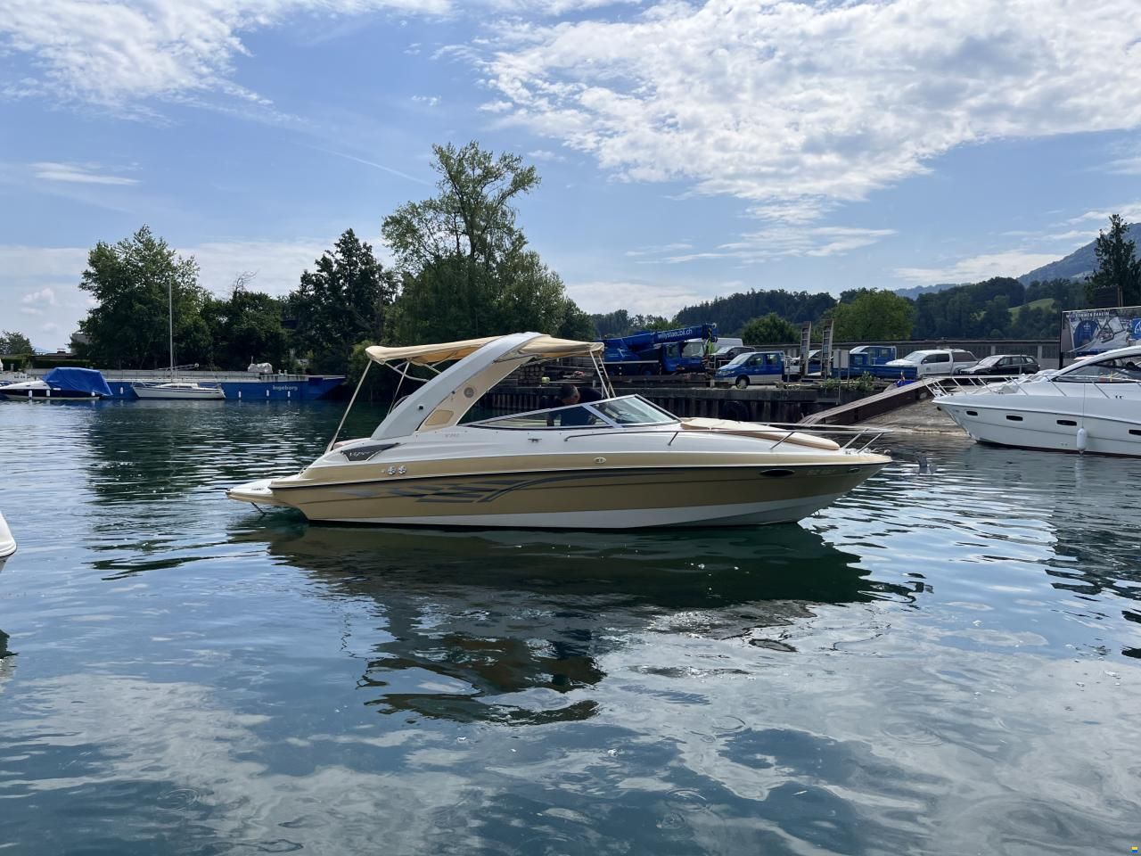 Viper V243