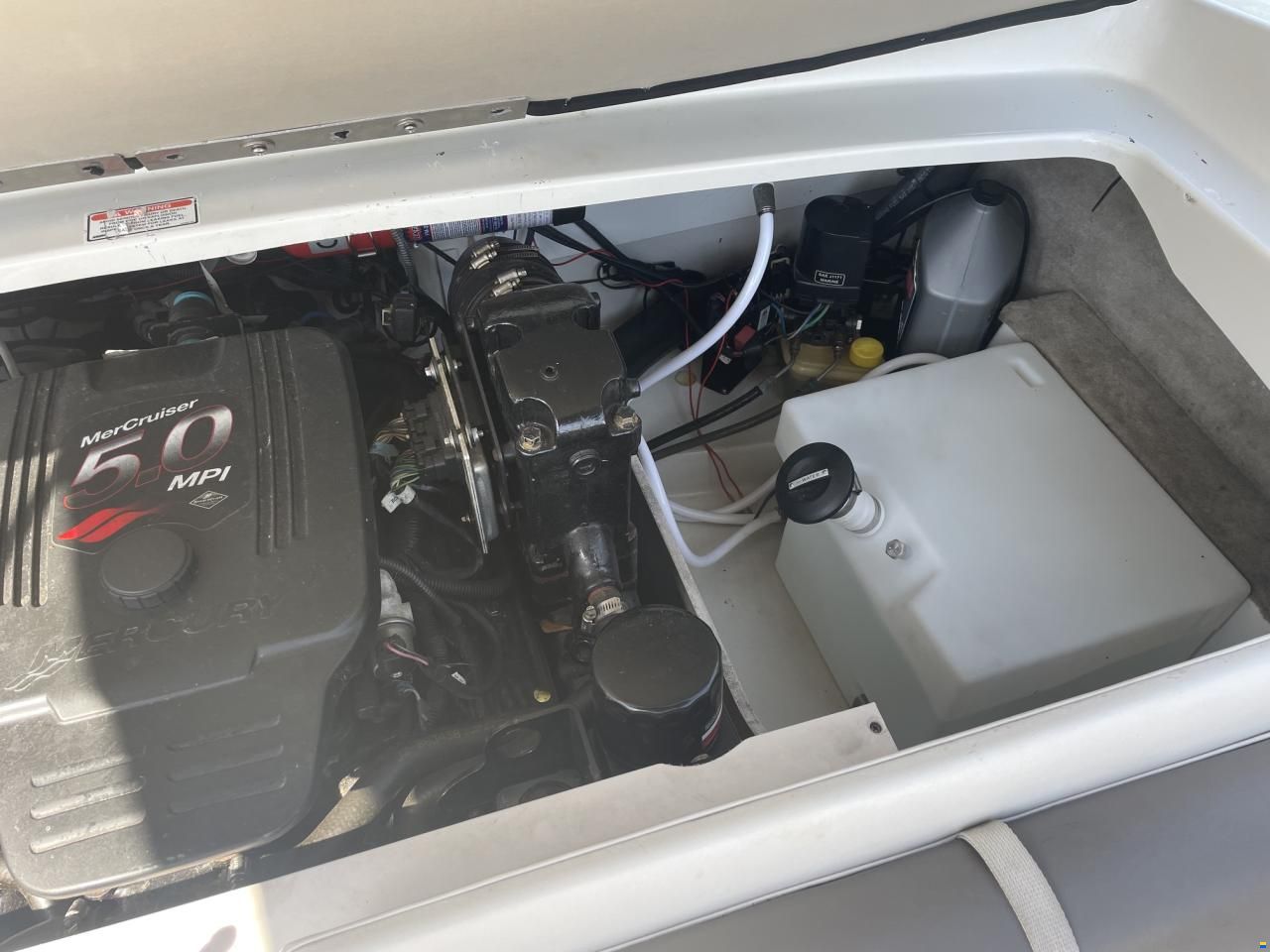 Crownline 19 SS