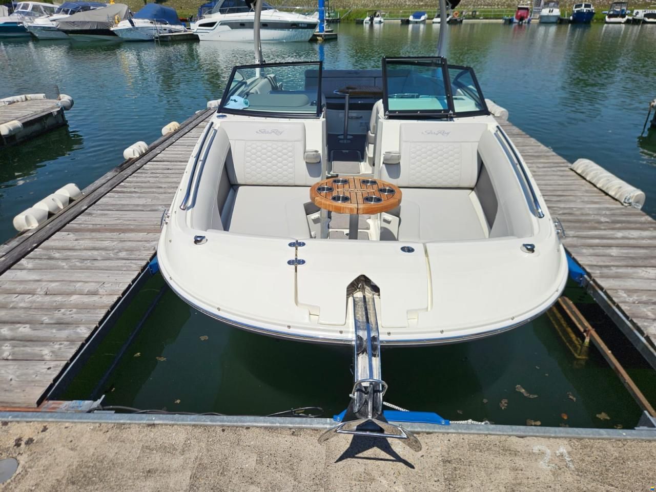 Sea Ray SDX 270
