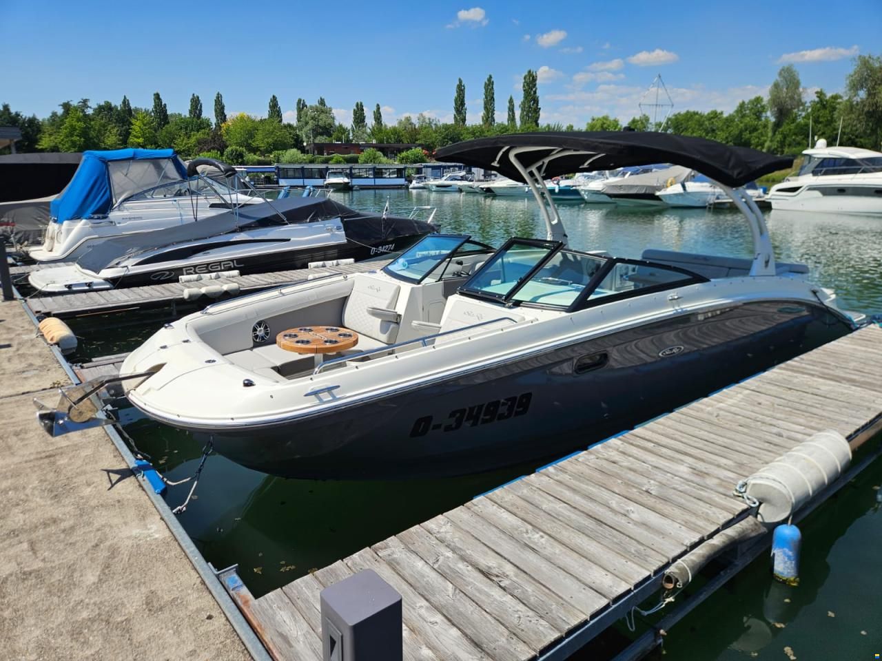 Sea Ray SDX 270