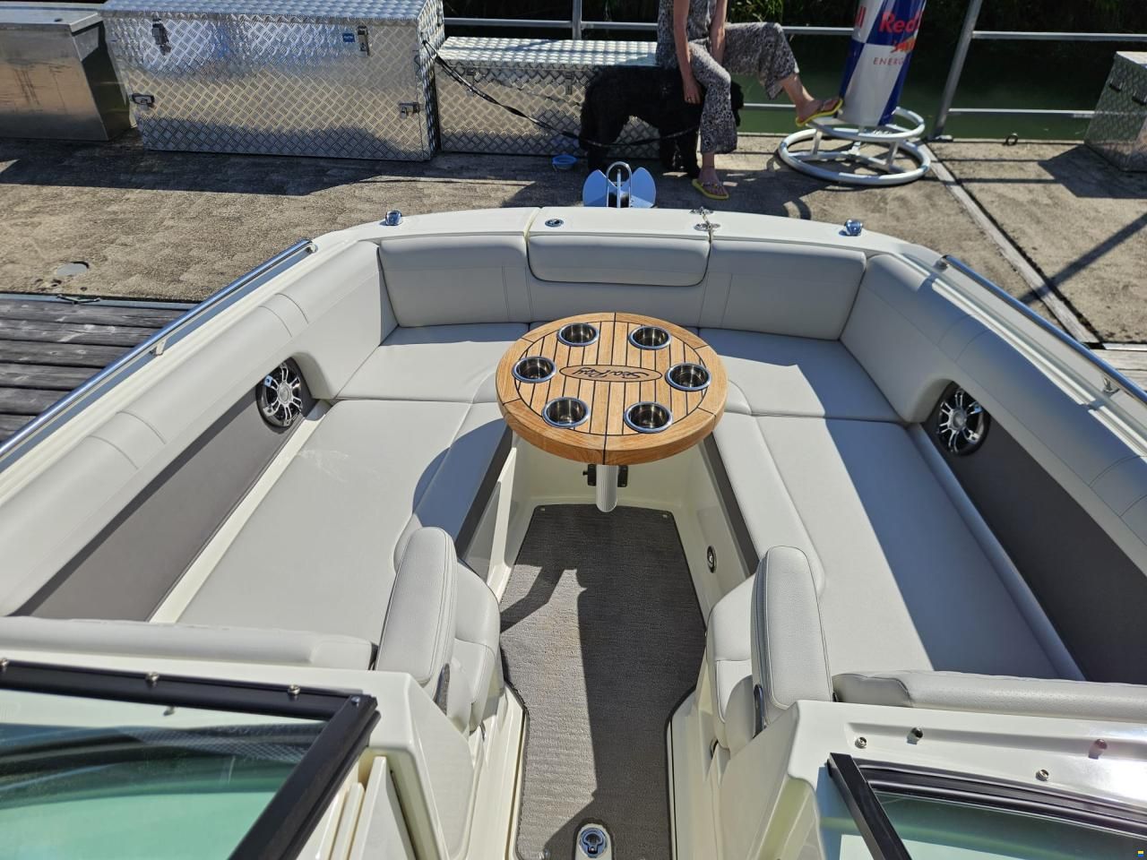Sea Ray SDX 270