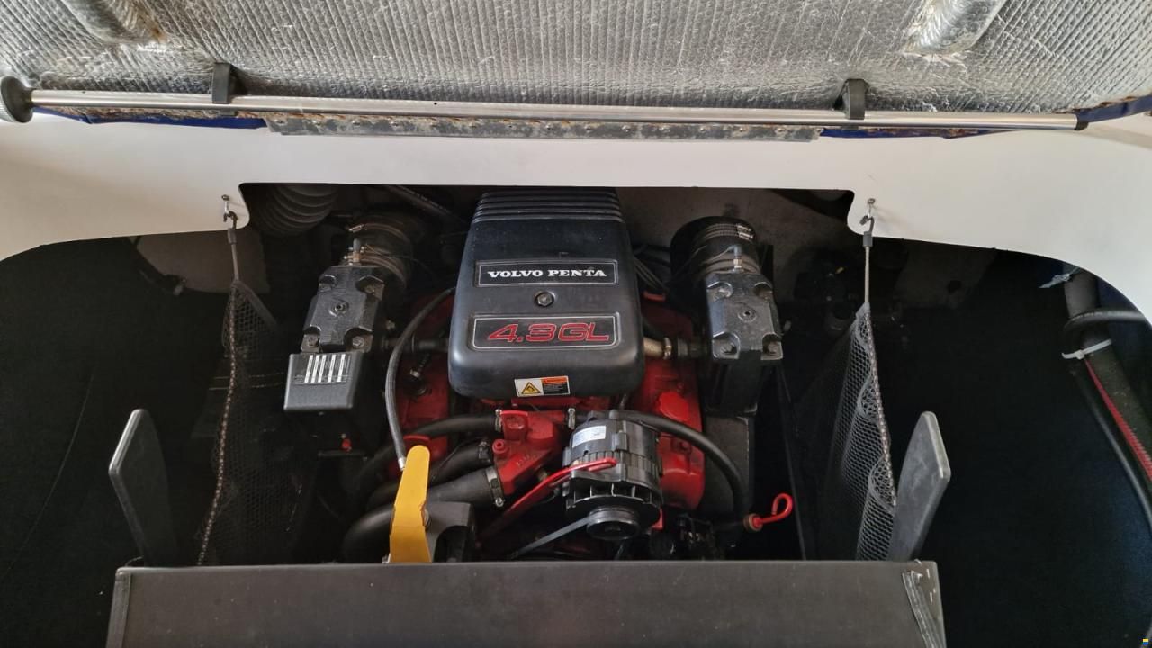 Campion LS625