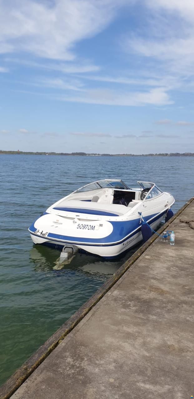 Campion LS625