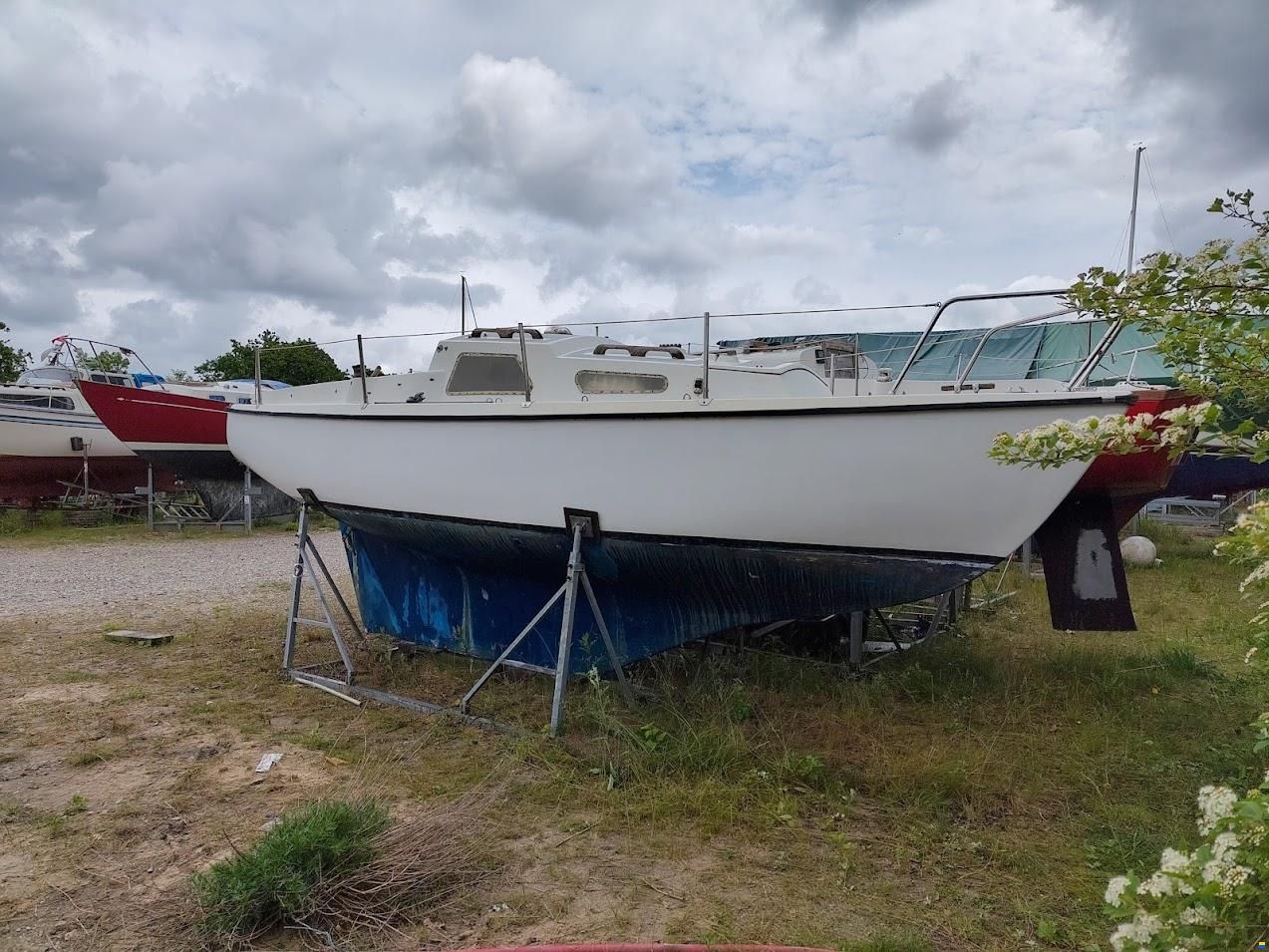 Junker 22