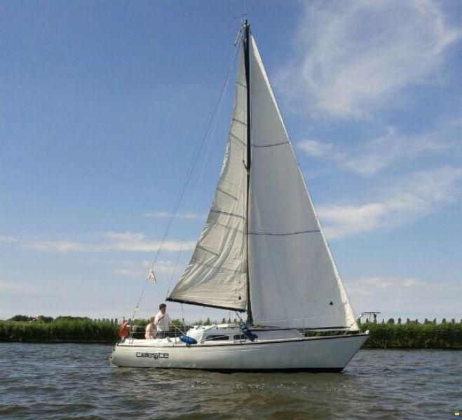 Spirit 28