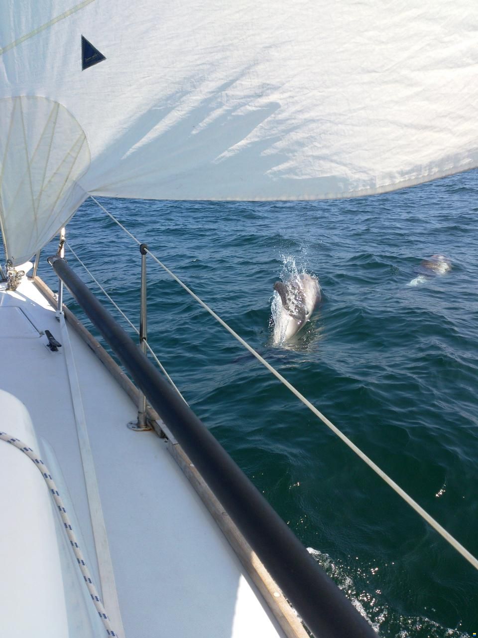 Spirit 28
