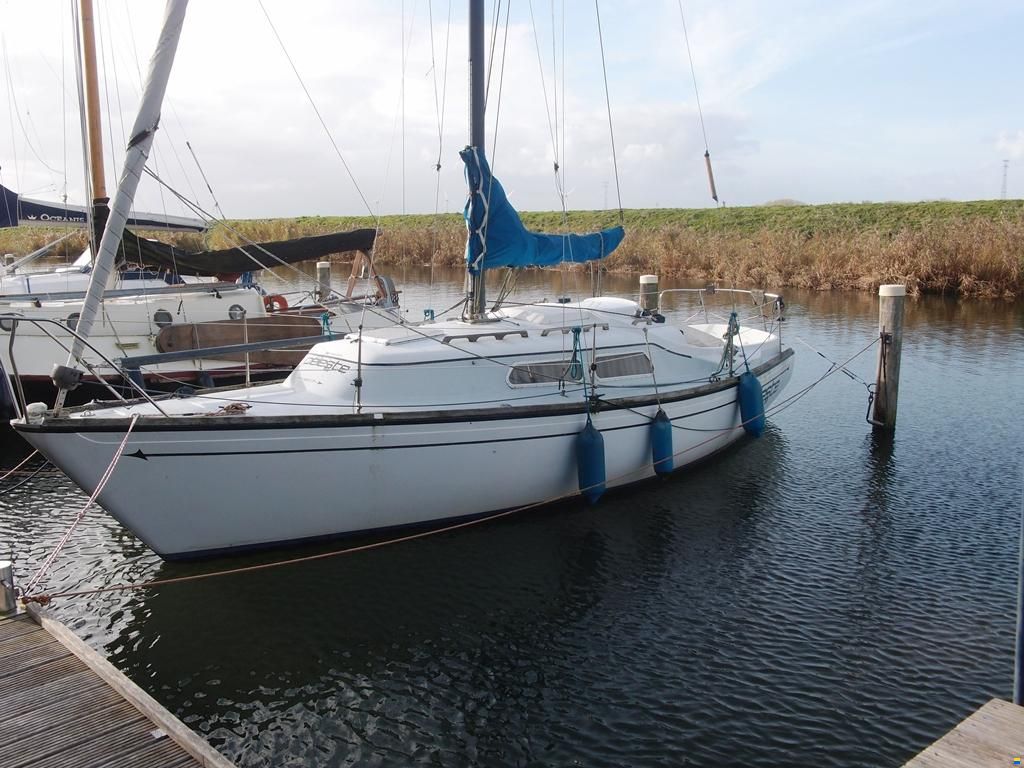 Spirit 28