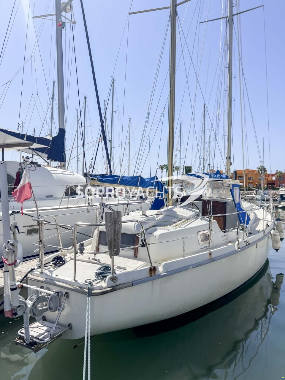Amel Euros 41