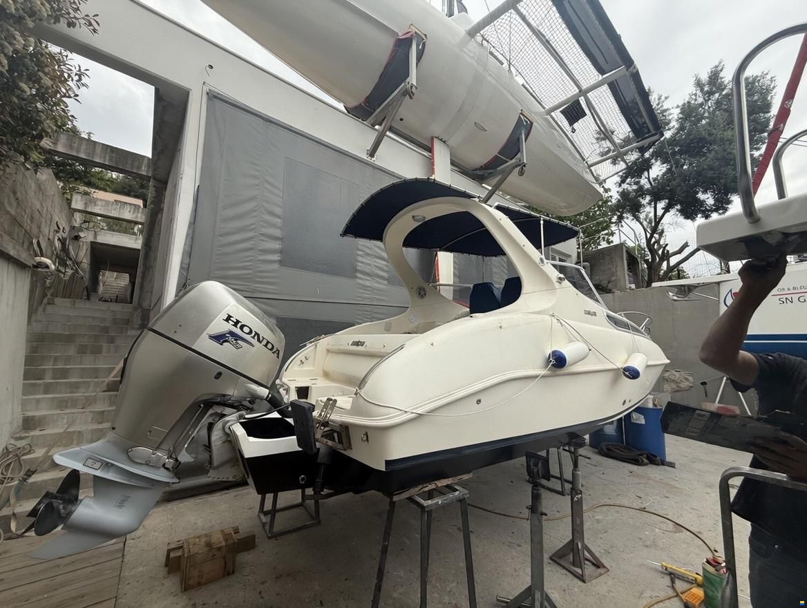 Salpa Laver 20.5