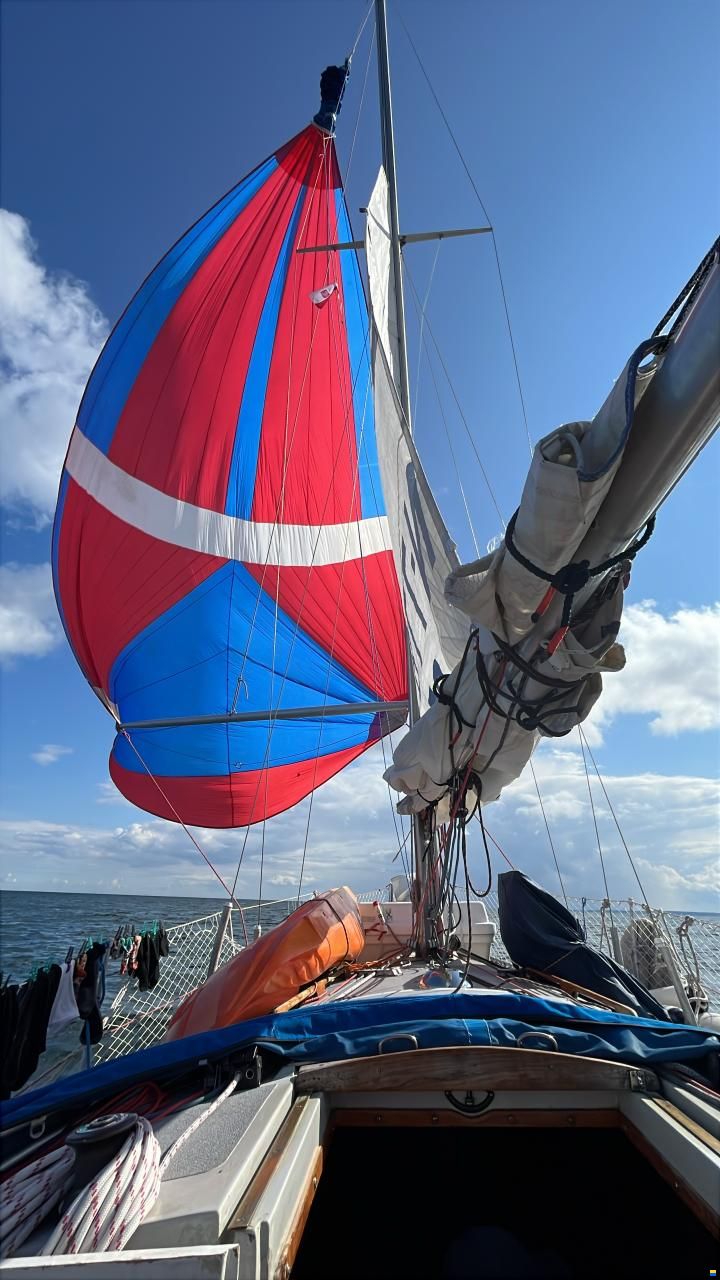 Mikkel 30