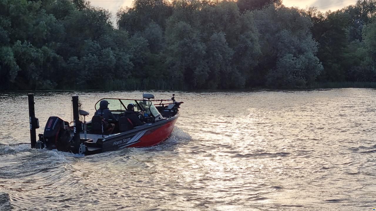 Northsilver 585 Fish Pro