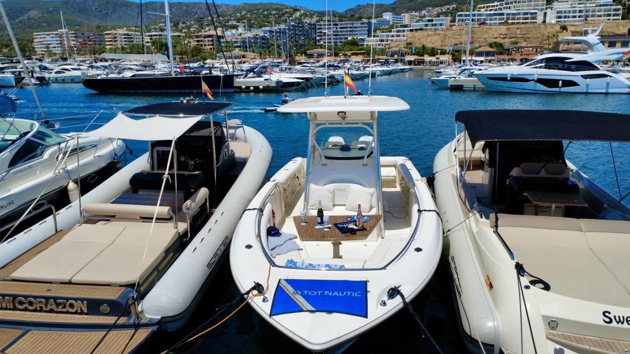 Boston Whaler 320 Outrage