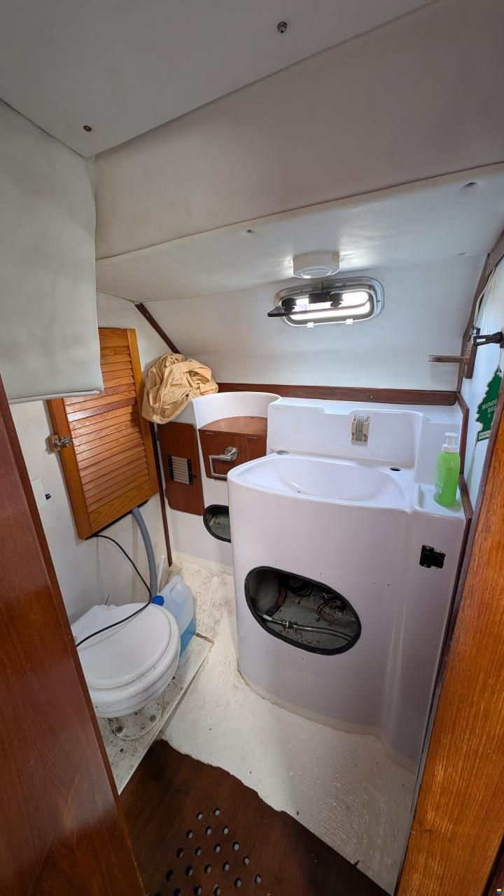 CBS Harmony 31