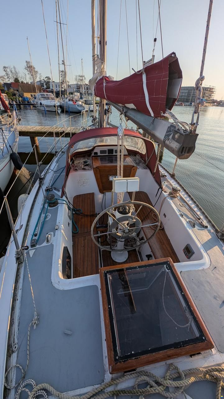 CBS Harmony 31