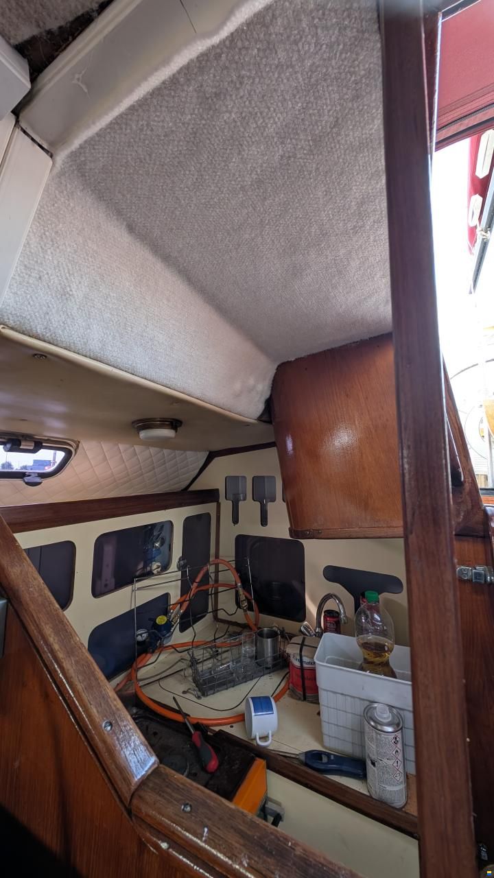 CBS Harmony 31