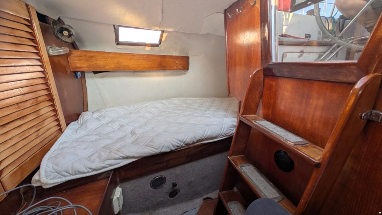 CBS Harmony 31