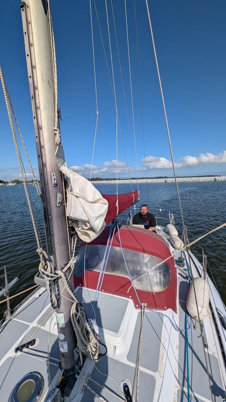 CBS Harmony 31