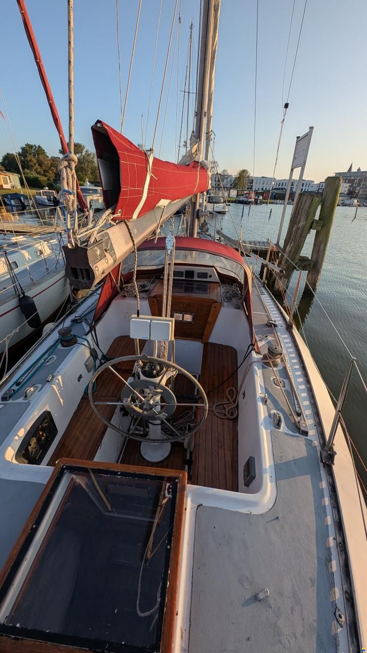 CBS Harmony 31