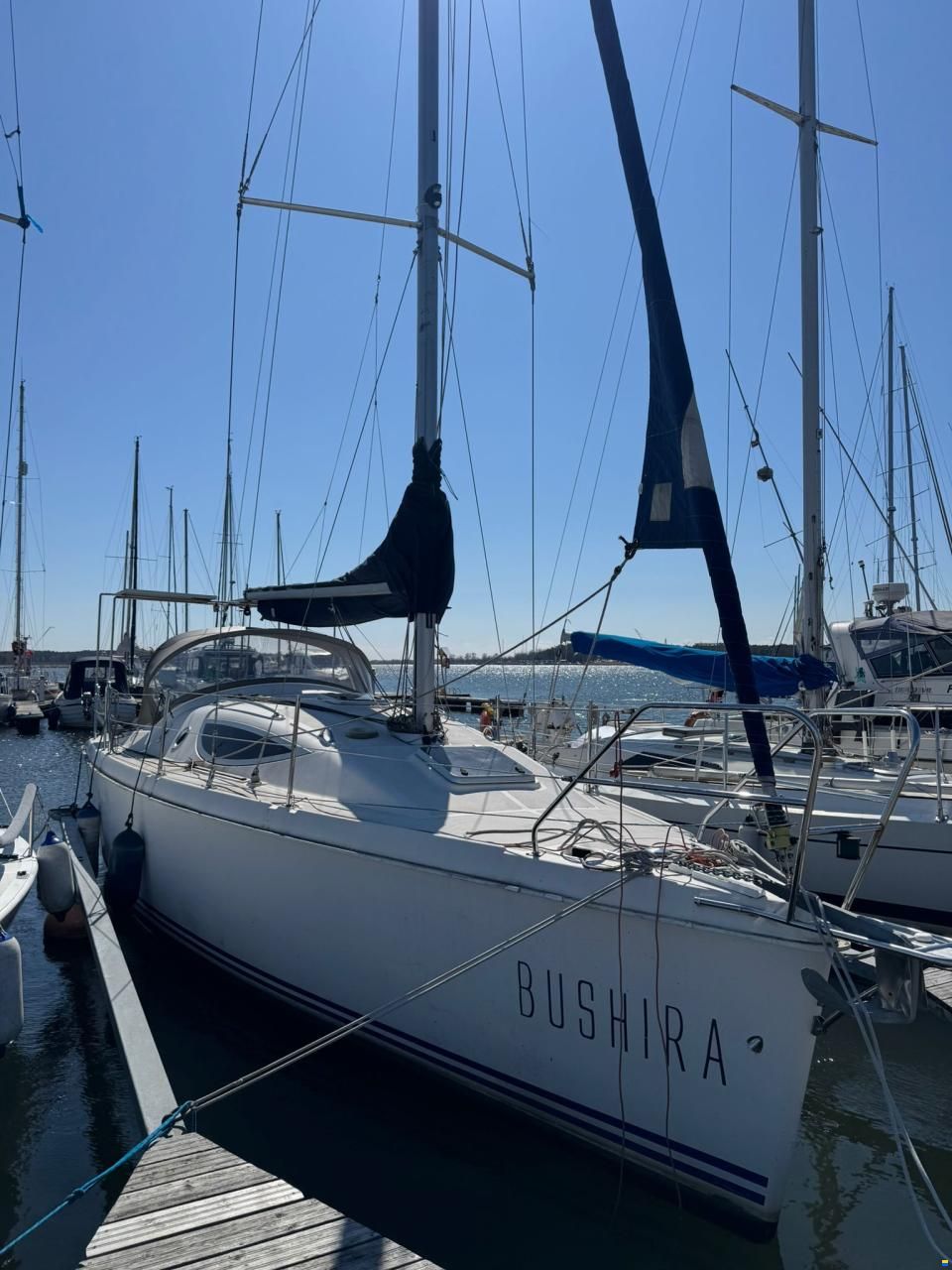 Northman Maxus 33