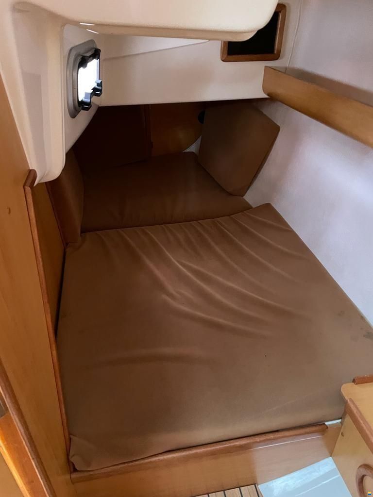 Northman Maxus 33