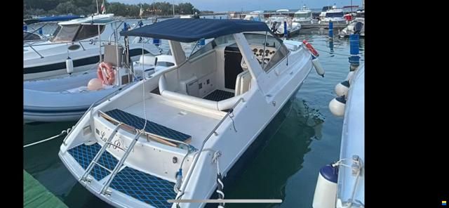 Sessa 26 Ninja