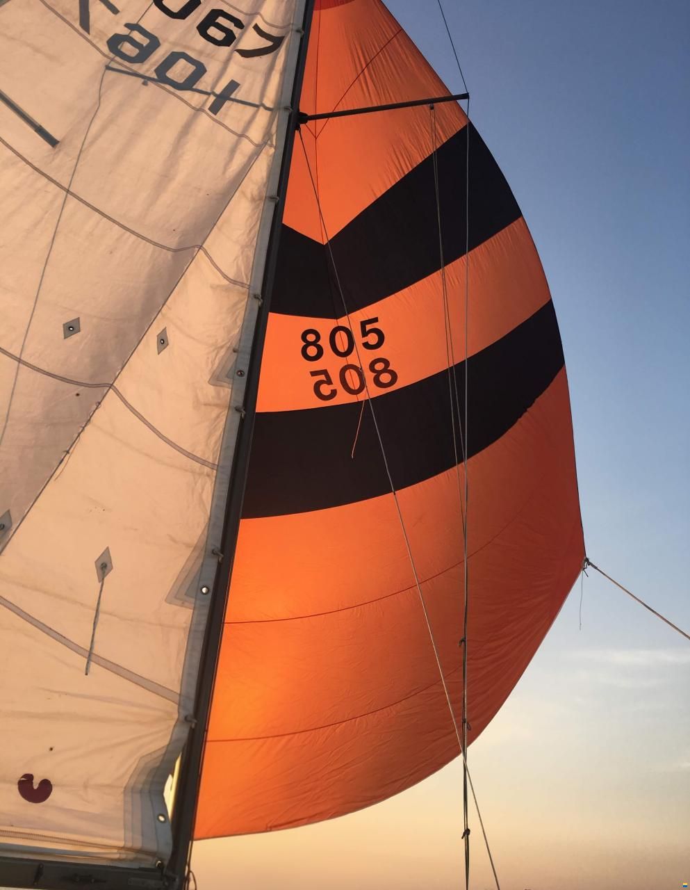 Dehler Delanta 80