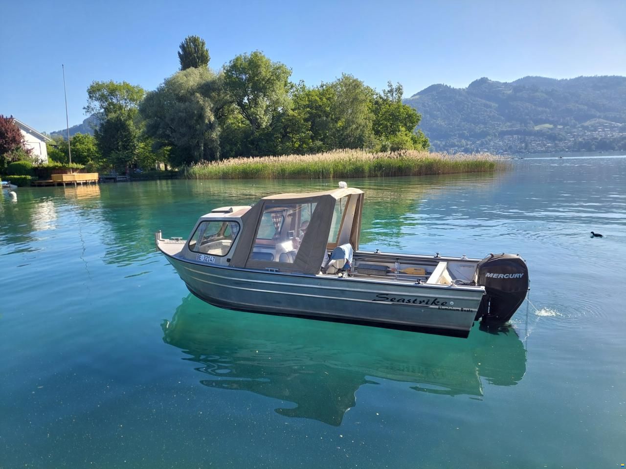 Seastrike Semi Vee 19