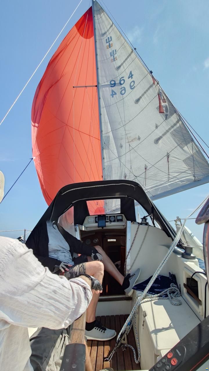 Neptun 29 DKS