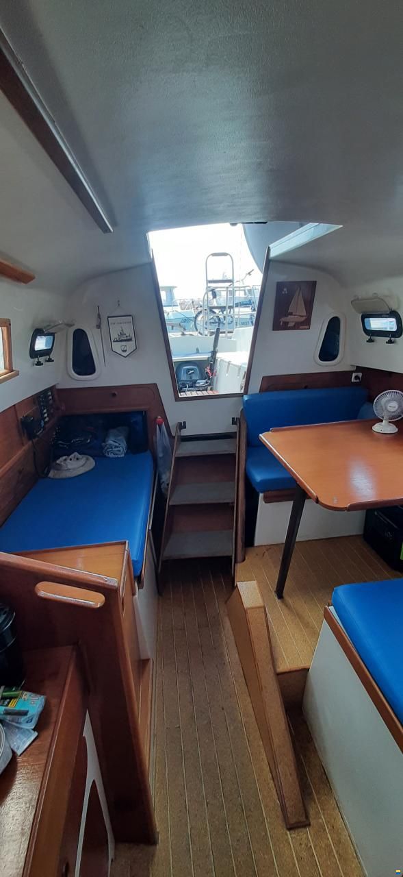 Neptun 29 DKS