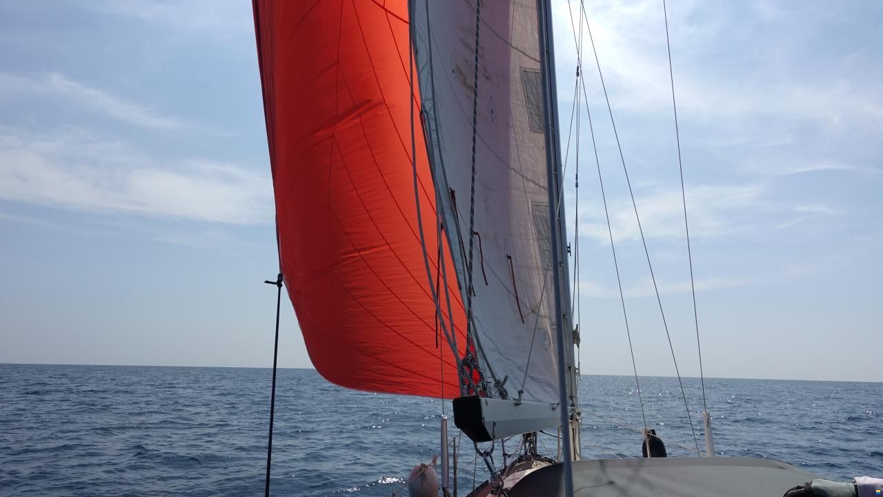 Neptun 29 DKS