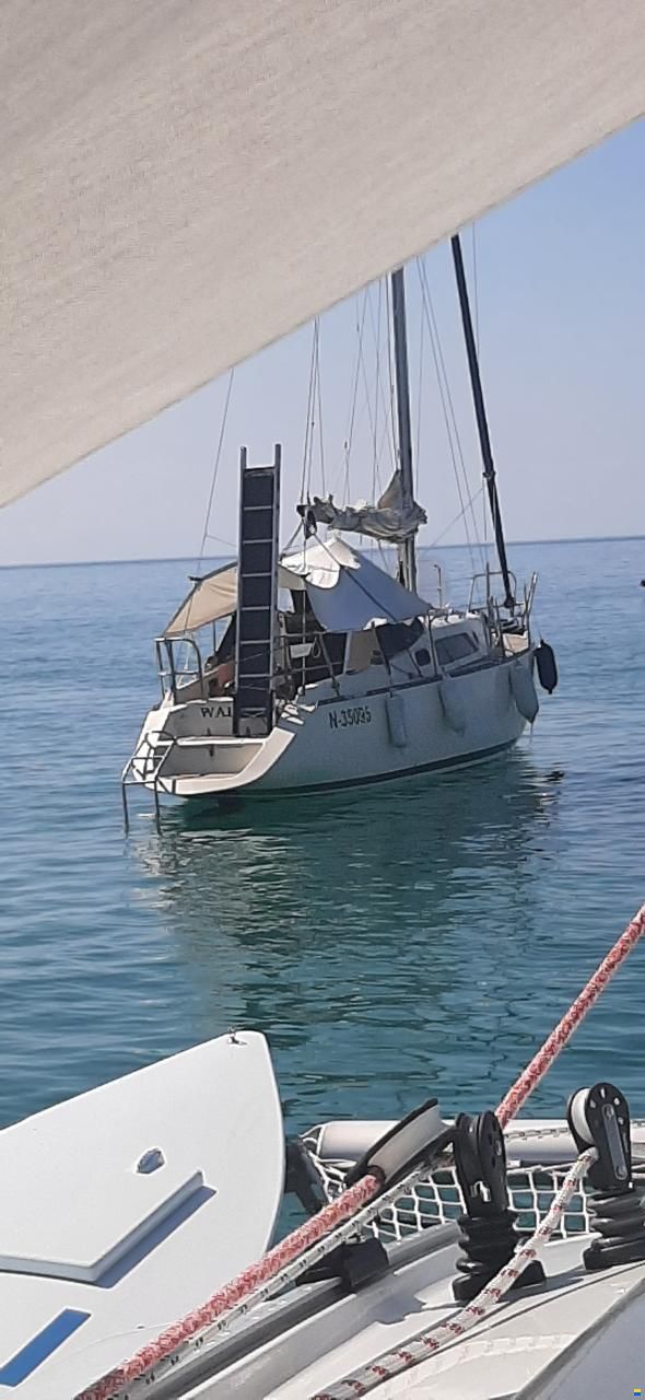 Neptun 29 DKS