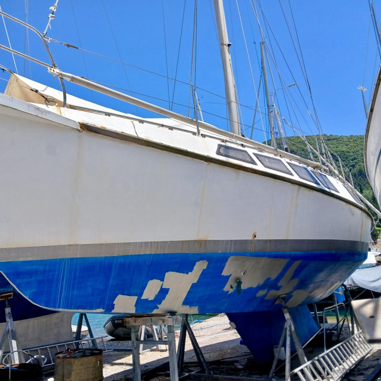 Reinke Hydra SC