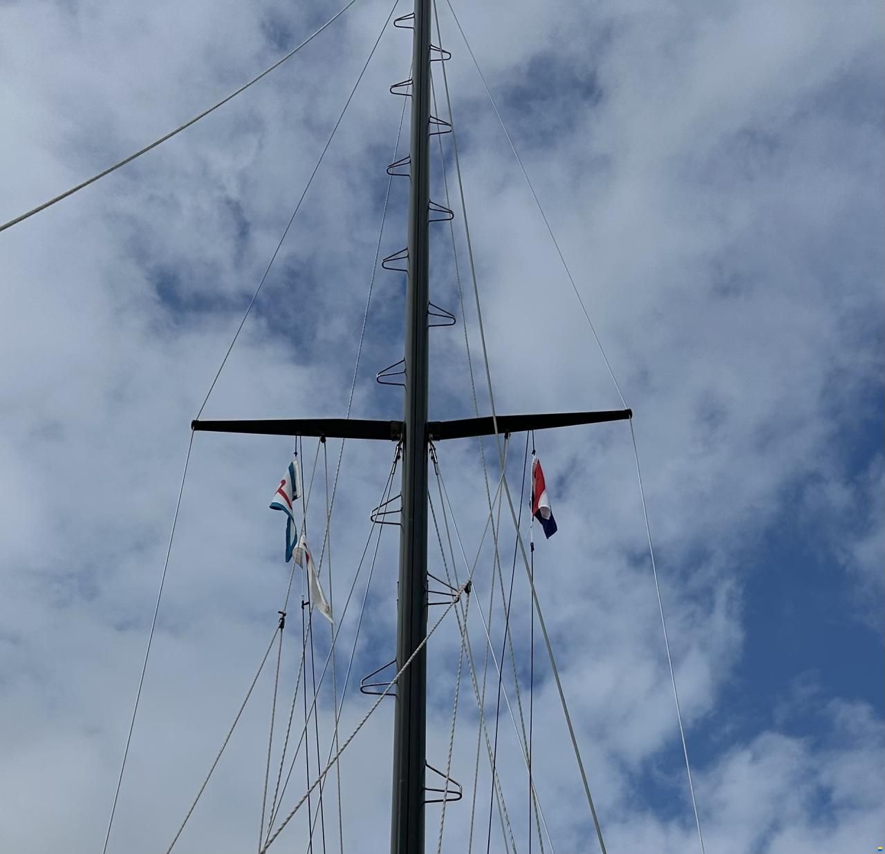 Widholms Beason 31