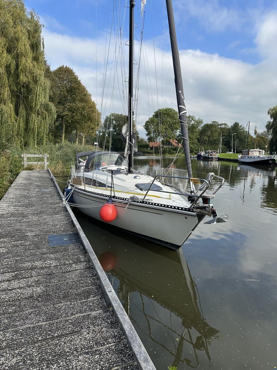 Widholms Beason 31