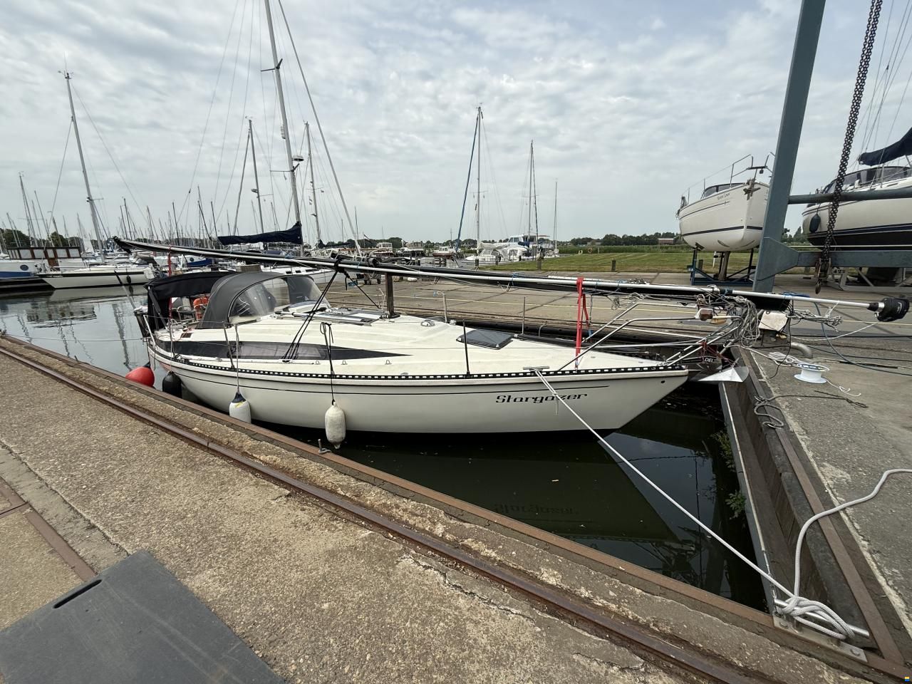 Widholms Beason 31