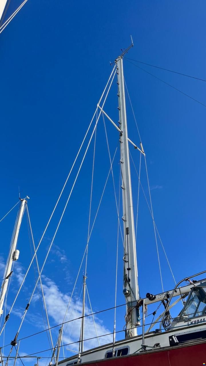 Trintella IV / Victory 40