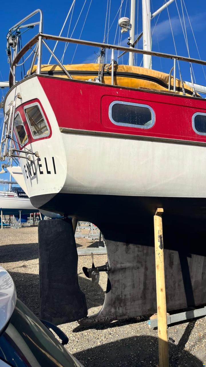 Trintella IV / Victory 40