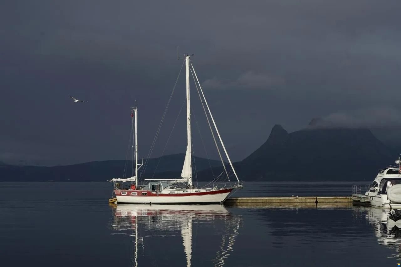 Trintella IV / Victory 40