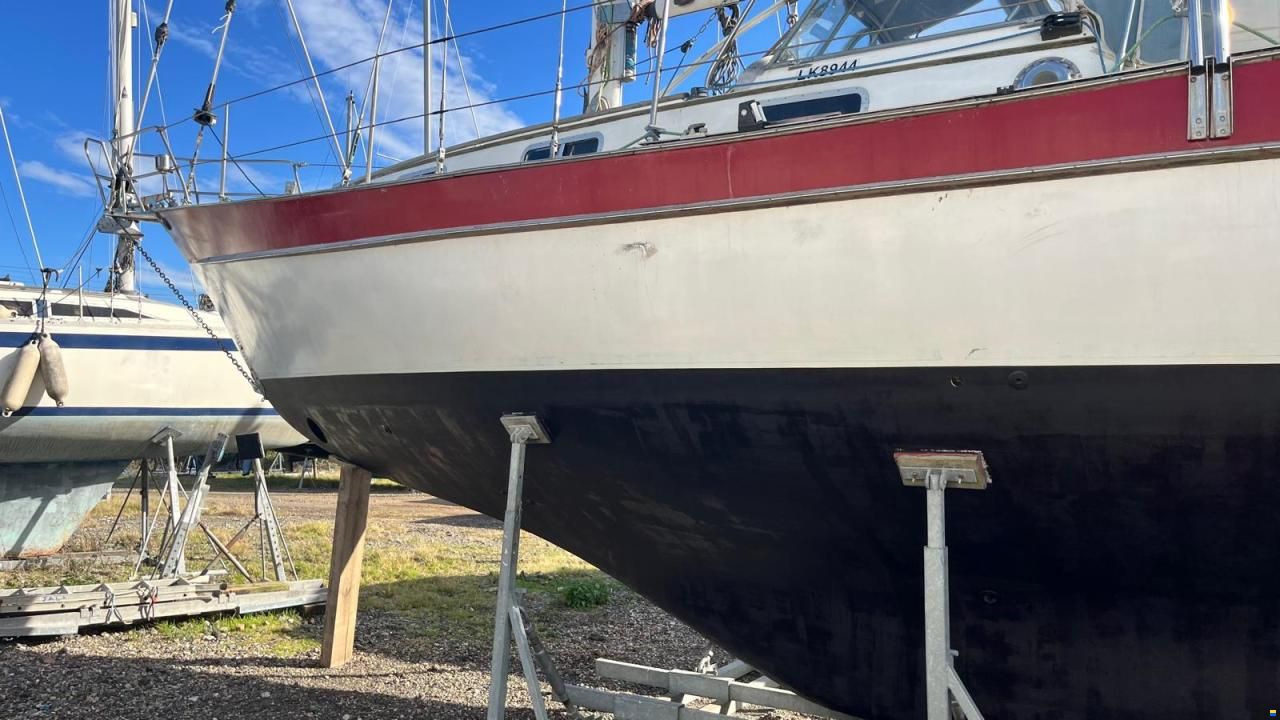 Trintella IV / Victory 40