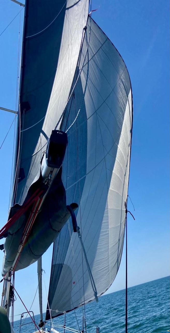 Dehler 38
